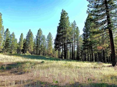 This beautiful, forested homesite with access to Forest Service on Nakoma Golf Resort in California - for sale on GolfHomes.com, golf home, golf lot