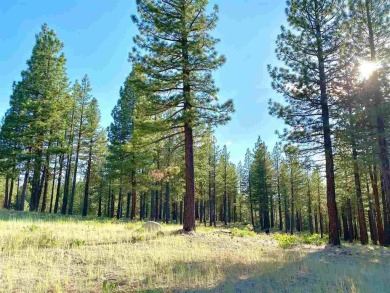 This beautiful, forested homesite with access to Forest Service on Nakoma Golf Resort in California - for sale on GolfHomes.com, golf home, golf lot