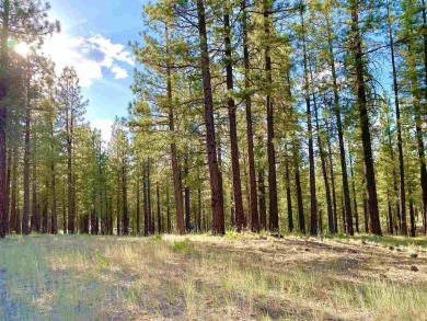 This beautiful, forested homesite with access to Forest Service on Nakoma Golf Resort in California - for sale on GolfHomes.com, golf home, golf lot