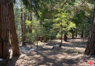 Three Contiguous Lots with Lake Rights and Potential Golf Course on Lake Arrowhead Country Club in California - for sale on GolfHomes.com, golf home, golf lot
