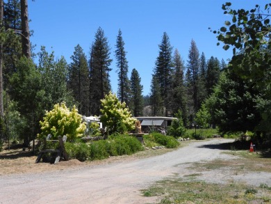 This unique piece of property in beautiful Plumas county is more on Mount Huff Golf Course in California - for sale on GolfHomes.com, golf home, golf lot