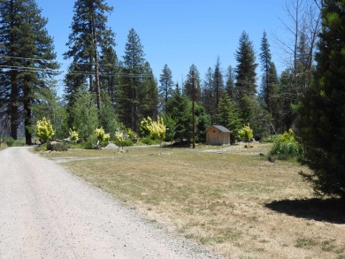 This unique piece of property in beautiful Plumas county is more on Mount Huff Golf Course in California - for sale on GolfHomes.com, golf home, golf lot