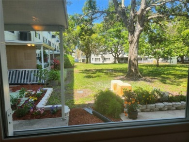 GROUND FLOOR 2 bedroom/2 bath condo on WEST side of Belcher that on On Top Of The World Golf Course in Florida - for sale on GolfHomes.com, golf home, golf lot