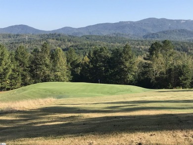 Carol Sherman (the agent who lives in Cherokee Valley)  REDUCED on The Clubs at Cherokee Valley Golf Course in South Carolina - for sale on GolfHomes.com, golf home, golf lot