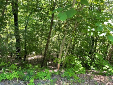 Gorgeous views of the mountains and Lake Chatuge await you from on Mountain Harbour Golf Club in North Carolina - for sale on GolfHomes.com, golf home, golf lot