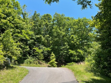 Gorgeous views of the mountains and Lake Chatuge await you from on Mountain Harbour Golf Club in North Carolina - for sale on GolfHomes.com, golf home, golf lot