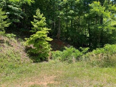 Gorgeous views of the mountains and Lake Chatuge await you from on Mountain Harbour Golf Club in North Carolina - for sale on GolfHomes.com, golf home, golf lot