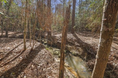 Nestled in Nature's Embrace, this enchanting 3br, 2ba haven on Rayburn Country Club in Texas - for sale on GolfHomes.com, golf home, golf lot