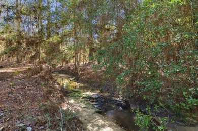 Nestled in Nature's Embrace, this enchanting 3br, 2ba haven on Rayburn Country Club in Texas - for sale on GolfHomes.com, golf home, golf lot