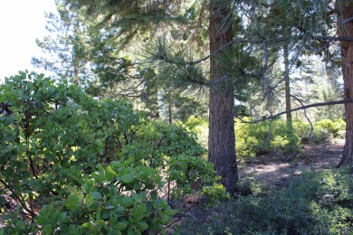 This desirable corner lot is located just a short stretch of the on Bailey Creek Golf Course in California - for sale on GolfHomes.com, golf home, golf lot