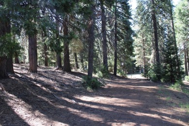 WOW! Here is an acre+ lot in the Lake Almanor Country Club that on Lake Almanor Country Club in California - for sale on GolfHomes.com, golf home, golf lot