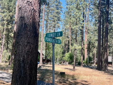 IN THE HEART OF IT ALL - IN PLUMAS PINES!!! This level building on Plumas Pines Golf Resort in California - for sale on GolfHomes.com, golf home, golf lot