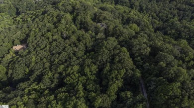 Discover your slice of paradise with this exceptional 2.8-acre on The Cliffs at Glassy Golf and Country Club in South Carolina - for sale on GolfHomes.com, golf home, golf lot