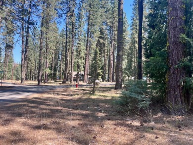 IN THE HEART OF IT ALL - IN PLUMAS PINES!!! This level building on Plumas Pines Golf Resort in California - for sale on GolfHomes.com, golf home, golf lot