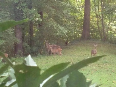  Rare Shelby County Find: Prime Land with Unique History on Mirimichi Golf Course in Tennessee - for sale on GolfHomes.com, golf home, golf lot