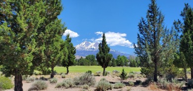 AMZING VIEWS OF MT. SHASTA AND GOLF COURSE - Discover this on Lake Shastina Golf Course in California - for sale on GolfHomes.com, golf home, golf lot