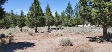 AMZING VIEWS OF MT. SHASTA AND GOLF COURSE - Discover this on Lake Shastina Golf Course in California - for sale on GolfHomes.com, golf home, golf lot