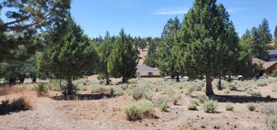 AMZING VIEWS OF MT. SHASTA AND GOLF COURSE - Discover this on Lake Shastina Golf Course in California - for sale on GolfHomes.com, golf home, golf lot