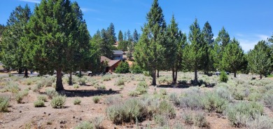 AMZING VIEWS OF MT. SHASTA AND GOLF COURSE - Discover this on Lake Shastina Golf Course in California - for sale on GolfHomes.com, golf home, golf lot