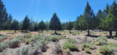 AMZING VIEWS OF MT. SHASTA AND GOLF COURSE - Discover this on Lake Shastina Golf Course in California - for sale on GolfHomes.com, golf home, golf lot