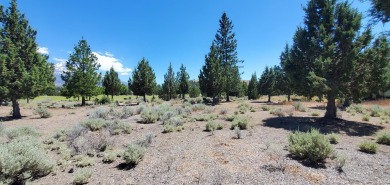 AMZING VIEWS OF MT. SHASTA AND GOLF COURSE - Discover this on Lake Shastina Golf Course in California - for sale on GolfHomes.com, golf home, golf lot