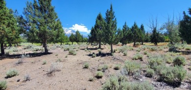 AMZING VIEWS OF MT. SHASTA AND GOLF COURSE - Discover this on Lake Shastina Golf Course in California - for sale on GolfHomes.com, golf home, golf lot