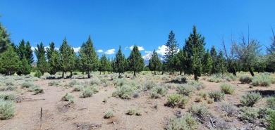 AMZING VIEWS OF MT. SHASTA AND GOLF COURSE - Discover this on Lake Shastina Golf Course in California - for sale on GolfHomes.com, golf home, golf lot