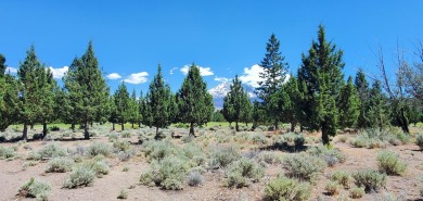 AMZING VIEWS OF MT. SHASTA AND GOLF COURSE - Discover this on Lake Shastina Golf Course in California - for sale on GolfHomes.com, golf home, golf lot