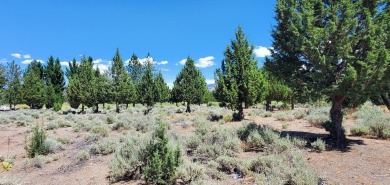 AMZING VIEWS OF MT. SHASTA AND GOLF COURSE - Discover this on Lake Shastina Golf Course in California - for sale on GolfHomes.com, golf home, golf lot