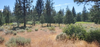 GOLF COURSE VIEW - Discover this stunning building lot tucked on Lake Shastina Golf Course in California - for sale on GolfHomes.com, golf home, golf lot