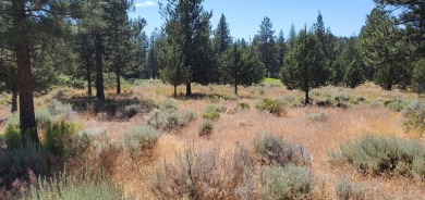 GOLF COURSE VIEW - Discover this stunning building lot tucked on Lake Shastina Golf Course in California - for sale on GolfHomes.com, golf home, golf lot