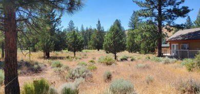 GOLF COURSE VIEW - Discover this stunning building lot tucked on Lake Shastina Golf Course in California - for sale on GolfHomes.com, golf home, golf lot