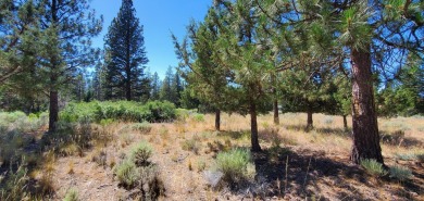 GOLF COURSE VIEW - Discover this stunning building lot tucked on Lake Shastina Golf Course in California - for sale on GolfHomes.com, golf home, golf lot