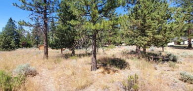 GOLF COURSE VIEW - Discover this stunning building lot tucked on Lake Shastina Golf Course in California - for sale on GolfHomes.com, golf home, golf lot