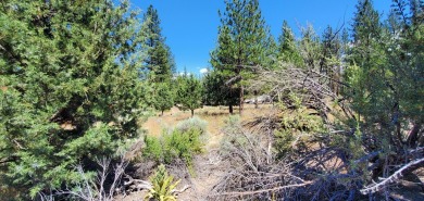 GOLF COURSE VIEW - Discover this stunning building lot tucked on Lake Shastina Golf Course in California - for sale on GolfHomes.com, golf home, golf lot