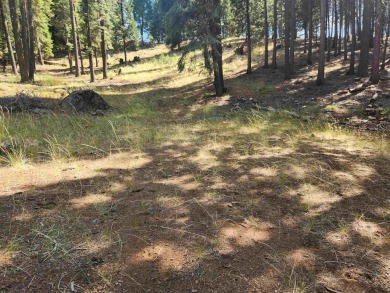 Nice, private parcel in Lake Almanor West. Over an acre, so lots on Lake Almanor West Golf Course in California - for sale on GolfHomes.com, golf home, golf lot