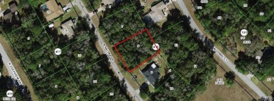 TWO ADJOINING LOTS SEE LISTING FOR 8865 N SALINA .29 acre on Citrus Springs Country Club in Florida - for sale on GolfHomes.com, golf home, golf lot