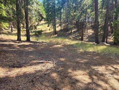 Nice, private parcel in Lake Almanor West. Over an acre, so lots on Lake Almanor West Golf Course in California - for sale on GolfHomes.com, golf home, golf lot