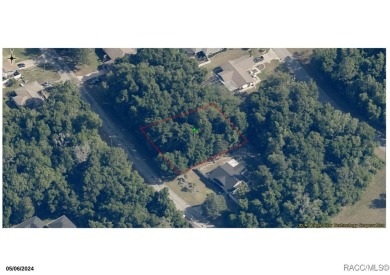 TWO ADJOINING LOTS SEE LISTING FOR 8865 N SALINA .29 acre on Citrus Springs Country Club in Florida - for sale on GolfHomes.com, golf home, golf lot