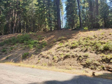 Nice, private parcel in Lake Almanor West. Over an acre, so lots on Lake Almanor West Golf Course in California - for sale on GolfHomes.com, golf home, golf lot