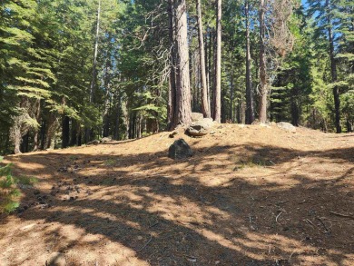 Nice, private parcel in Lake Almanor West. Over an acre, so lots on Lake Almanor West Golf Course in California - for sale on GolfHomes.com, golf home, golf lot