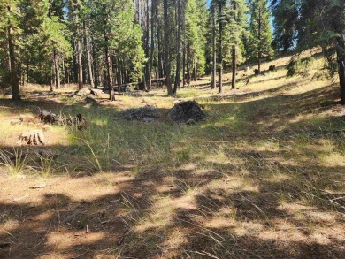 Nice, private parcel in Lake Almanor West. Over an acre, so lots on Lake Almanor West Golf Course in California - for sale on GolfHomes.com, golf home, golf lot