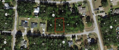 24 acre lot/homesite 80 by 125 feet that is ready to build your on Citrus Springs Country Club in Florida - for sale on GolfHomes.com, golf home, golf lot