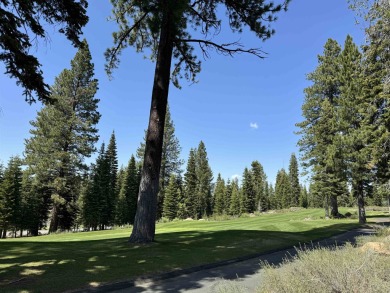 Introducing Homesite 303, a prime homesite complete with on Shaffers Mill Golf Course in California - for sale on GolfHomes.com, golf home, golf lot