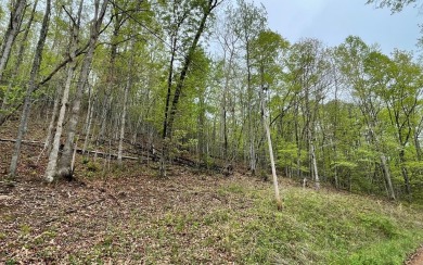 BEAUTIFULLY WOODED LOT IN THE MOUNTAINS OF NORTH CAROLINA!! This on Mountain Harbour Golf Club in North Carolina - for sale on GolfHomes.com, golf home, golf lot