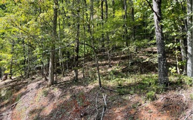 BEAUTIFULLY WOODED LOT IN THE MOUNTAINS OF NORTH CAROLINA!! This on Mountain Harbour Golf Club in North Carolina - for sale on GolfHomes.com, golf home, golf lot