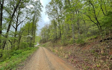 BEAUTIFULLY WOODED LOT IN THE MOUNTAINS OF NORTH CAROLINA!! This on Mountain Harbour Golf Club in North Carolina - for sale on GolfHomes.com, golf home, golf lot