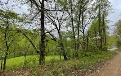 BEAUTIFULLY WOODED LOT IN THE MOUNTAINS OF NORTH CAROLINA!! This on Mountain Harbour Golf Club in North Carolina - for sale on GolfHomes.com, golf home, golf lot