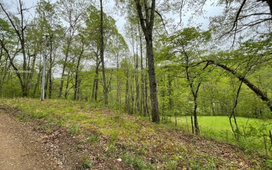 BEAUTIFULLY WOODED LOT IN THE MOUNTAINS OF NORTH CAROLINA!! This on Mountain Harbour Golf Club in North Carolina - for sale on GolfHomes.com, golf home, golf lot