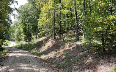 BEAUTIFULLY WOODED LOT IN THE MOUNTAINS OF NORTH CAROLINA!! This on Mountain Harbour Golf Club in North Carolina - for sale on GolfHomes.com, golf home, golf lot